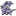 Imp Pact Imp Pact