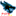 PSTR樹德 PSTR樹德