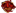 Flux Flux