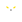 Dignitas fe