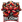 Fire Bloom