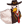 CSSEA