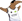 Belligol