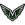 Verum Momentum