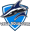 Vega Squadron