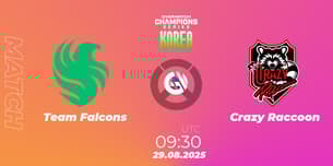 Team Falcons VS Crazy Raccoon Team Falcons VS Crazy Raccoon
