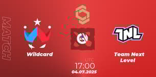 Wildcard VS Team Next Level
