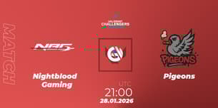 Nightblood Gaming VS Pigeons