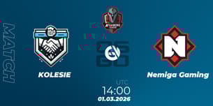 KOLESIE VS Nemiga Gaming