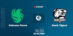 Falcons Force VS Dark Tigers