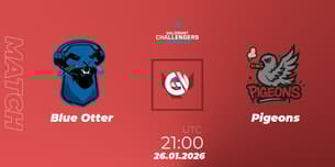 Blue Otter VS Pigeons