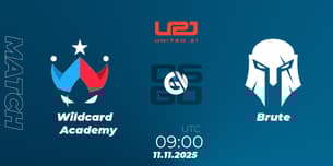 Wildcard Academy VS Brute