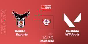Beşiktaş Esports VS Bushido Wildcats