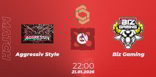 Aggressiv Style VS Biz Gaming