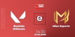 Bushido Wildcats VS Misa Esports