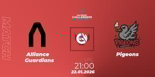 Alliance Guardians VS Pigeons