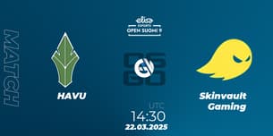 HAVU VS Skinvault Gaming