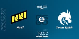 NaVi VS Team Spirit