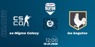 Team Pigeons VS los kogutos