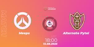 Meeps VS Alternate Pytel
