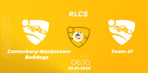 Canterbury-Bankstown Bulldogs VS Team #1