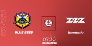 BLUE BEES VS Insomnia