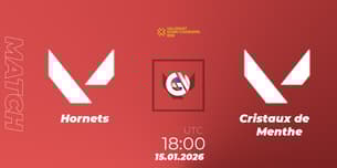 Hornets VS Cristaux de Menthe