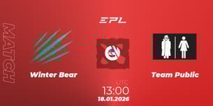 Winter Bear VS Team Public
