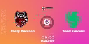 Crazy Raccoon VS Team Falcons