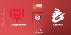 Mandatory VS Galions