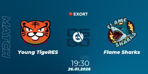 Young TigeRES VS Flame Sharks