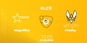 Magnifico VS Vitality