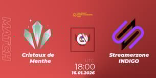 Cristaux de Menthe VS Streamerzone INDIGO