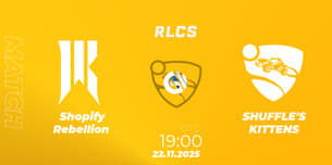 Shopify Rebellion VS SHUFFLE'S KITTENS