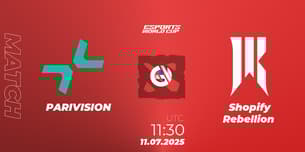 PARIVISION VS Shopify Rebellion