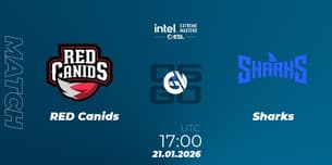 RED Canids VS Sharks