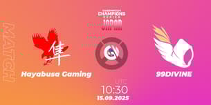 Hayabusa Gaming VS 99DIVINE