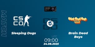 Sleeping Dogs VS Brain Dead Boys