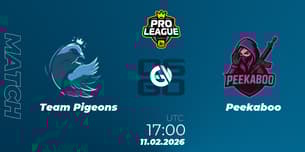Team Pigeons VS Peekaboo