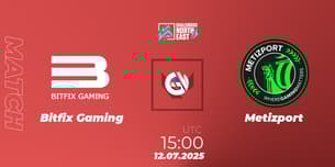 Bitfix Gaming VS Metizport