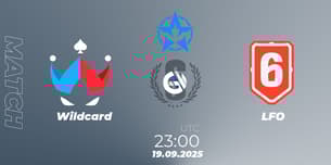 Wildcard VS STANDBY LFO
