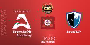 Team Spirit Academy VS Level UP
