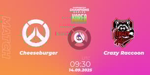 Cheeseburger VS Crazy Raccoon