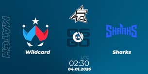 Wildcard VS Sharks Wildcard VS Sharks