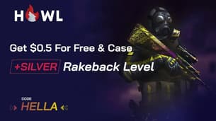 Howl.GG Promo Code: Get $0.5 & Free Case