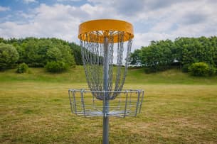 Which Sports Have Gained Popularity in Estonia in Recent Years?