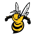 valorant