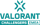 valorant