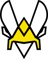Team Vitality