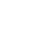 Team Orchid